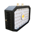 Fabricante profesional Interruptor doble COB LED de 1000 vatios para cultivo de luz de espectro completo